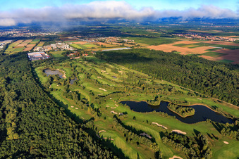 Aerial view of Golf course Landgut Dreihof - GOLF absolute in the morning from the southeast in Essingen in the state Rhineland-Palatinate, Germany