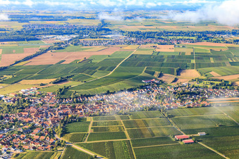 View from the north in Insheim in the state Rhineland-Palatinate, Germany