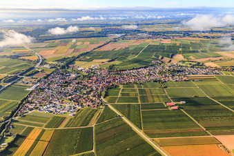 Aerial view of View from the north in Insheim in the state Rhineland-Palatinate, Germany