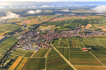 Aerial photograpy of View from the north in Insheim in the state Rhineland-Palatinate, Germany