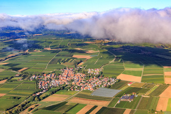 View of the town from the east in Impflingen in the state Rhineland-Palatinate, Germany