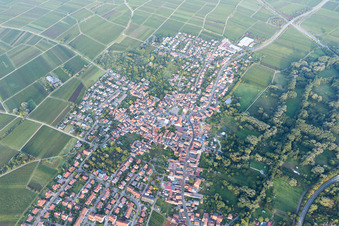 District Godramstein in Landau in der Pfalz in the state Rhineland-Palatinate, Germany from the drone perspective
