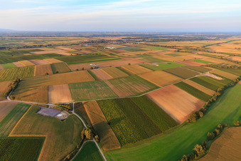 Foundation of the EnBW wind farm Freckenfeld - for wind turbine with 6 wind turbines in Freckenfeld in the state Rhineland-Palatinate, Germany seen from above