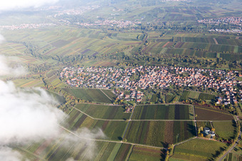 Aerial photograpy of District Wollmesheim in Landau in der Pfalz in the state Rhineland-Palatinate, Germany
