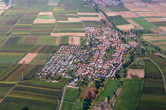Village - view on the edge of agricultural fields and farmland in Essingen in the state Rhineland-Palatinate, Germany
