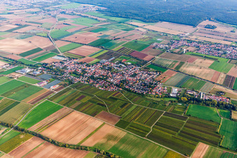 Aerial photograpy of Village - view on the edge of agricultural fields and farmland in Weingarten (Pfalz) in the state Rhineland-Palatinate, Germany
