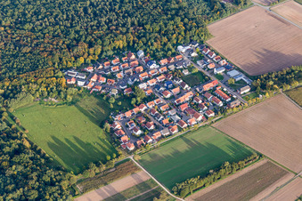 Settlement area in the district Vorderlohe in Schwegenheim in the state Rhineland-Palatinate, Germany
