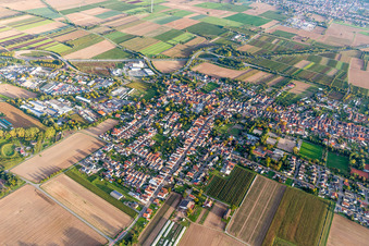Oblique view of Town View of the streets and houses of the residential areas in Schwegenheim in the state Rhineland-Palatinate, Germany