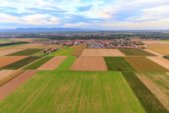Aerial photograpy of View of the town from the south in Steinweiler in the state Rhineland-Palatinate, Germany