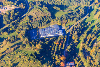 Lugina Shoe Factory GmbH in Schwanheim in the state Rhineland-Palatinate, Germany