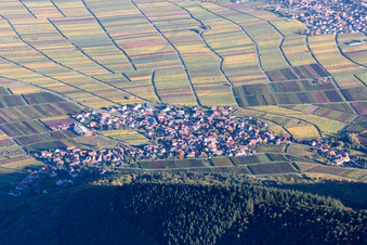 View of the winegrowing village from the west in Weyher in der Pfalz in the state Rhineland-Palatinate, Germany