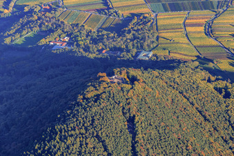 Castle ruins and mountain restaurant Rietburg from the west in Venningen in the state Rhineland-Palatinate, Germany