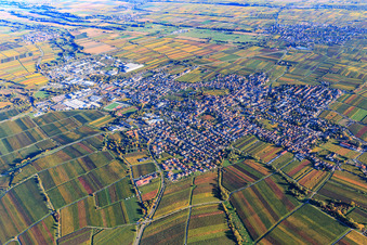 City view from the northwest in Edenkoben in the state Rhineland-Palatinate, Germany