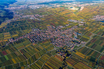 Aerial view of Town View of the streets and houses of the residential areas in Maikammer in the state Rhineland-Palatinate, Germany