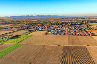 View of the town from the south in Steinweiler in the state Rhineland-Palatinate, Germany from above