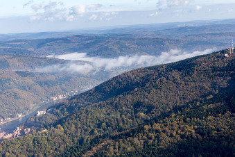 Oblique view of Neckar Valley in the district Kernaltstadt in Heidelberg in the state Baden-Wuerttemberg, Germany