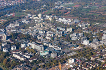 University in the district Neuenheim in Heidelberg in the state Baden-Wuerttemberg, Germany