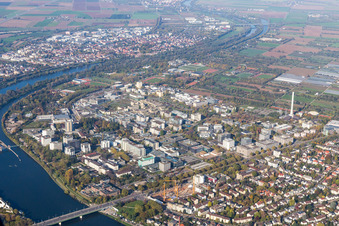 Aerial view of University in the district Neuenheim in Heidelberg in the state Baden-Wuerttemberg, Germany