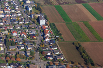 Aerial view of Birch Avenue in Offenbach an der Queich in the state Rhineland-Palatinate, Germany