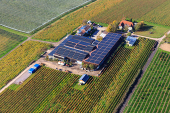 Pfaffmann Winery Impflingen in Impflingen in the state Rhineland-Palatinate, Germany