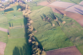 Bird's eye view of Rott in the state Bas-Rhin, France