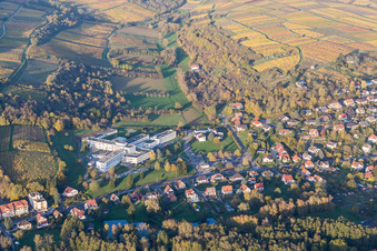 Wissembourg in the state Bas-Rhin, France from a drone