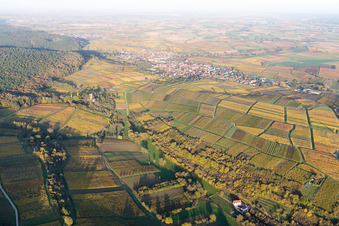 Sonnenberg in the district Schweigen in Schweigen-Rechtenbach in the state Rhineland-Palatinate, Germany