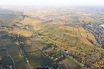 Aerial view of Sonnenberg in the district Schweigen in Schweigen-Rechtenbach in the state Rhineland-Palatinate, Germany