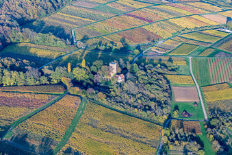 Buildings and parks at the Chateau Saint Paul manor house on the Sonnenberg in Wissembourg in the state Bas-Rhin, France