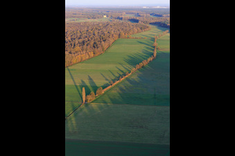 Bruchbach / Otterbach lowlands from the west in Freckenfeld in the state Rhineland-Palatinate, Germany