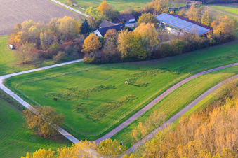 Seehof - Agriculture behind the Rhine dam in Leimersheim in the state Rhineland-Palatinate, Germany