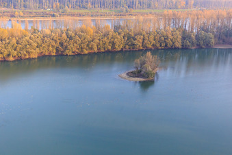 Islet in the Old Rhine in Leimersheim in the state Rhineland-Palatinate, Germany
