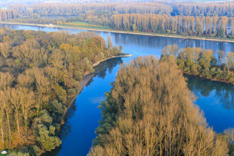 Mouth of the Old Rhine in Leimersheim in the state Rhineland-Palatinate, Germany