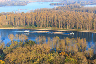Bulk cargo ship on the Rhine in Linkenheim-Hochstetten in the state Baden-Wuerttemberg, Germany