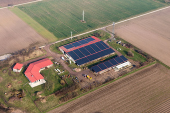 Resettler farm in Erlenbach bei Kandel in the state Rhineland-Palatinate, Germany