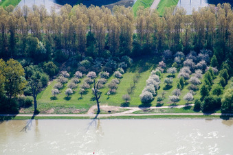 Aerial view of Rhine bank in the district Knielingen in Karlsruhe in the state Baden-Wuerttemberg, Germany