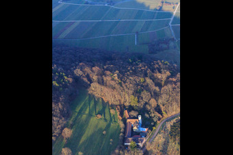 Slevogthof Neukastel in Leinsweiler in the state Rhineland-Palatinate, Germany from above