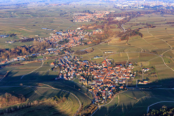 Wine village at the foot of the Kastanienbusch / Keschdebusch from the west in Birkweiler in the state Rhineland-Palatinate, Germany