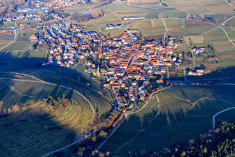 Aerial view of Wine village at the foot of the Kastanienbusch / Keschdebusch from the west in Birkweiler in the state Rhineland-Palatinate, Germany