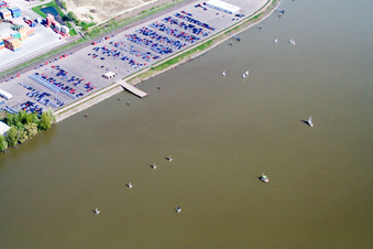 Aerial view of Rhine harbor in the district Maximiliansau in Wörth am Rhein in the state Rhineland-Palatinate, Germany