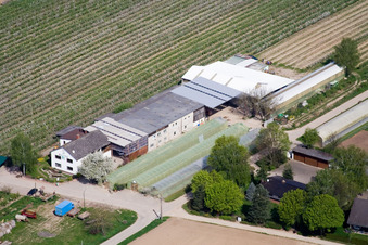 Zapf fruit and vegetable farm in Kandel in the state Rhineland-Palatinate, Germany