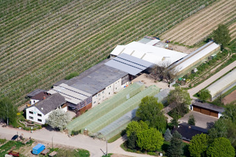 Aerial view of Zapf fruit and vegetable farm in Kandel in the state Rhineland-Palatinate, Germany