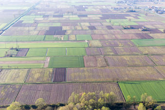 Aerial view of Paludo di Latisana in the state Friuli Venezia Giulia, Italy