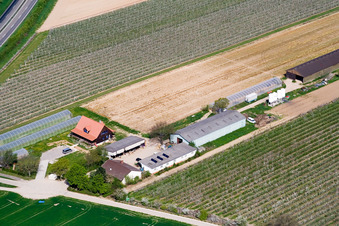 Aerial view of Zapf fresh vegetables in Kandel in the state Rhineland-Palatinate, Germany