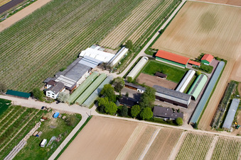 Zapf Fruit Farm in Kandel in the state Rhineland-Palatinate, Germany