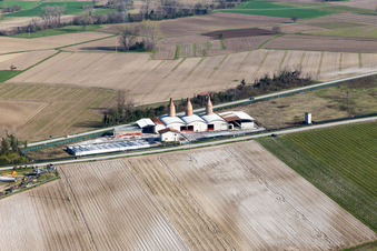 Aerial view of San Lorenzo in the state Friuli Venezia Giulia, Italy