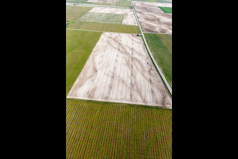 Aerial photograpy of Rauscedo-Domanins in the state Friuli Venezia Giulia, Italy