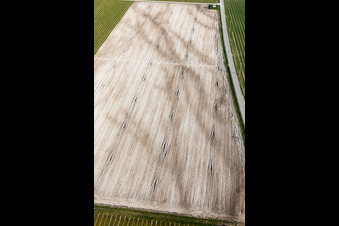 Rauscedo-Domanins in the state Friuli Venezia Giulia, Italy from above