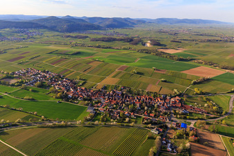 Aerial view of Village overview from the southeast in spring in Niederhorbach in the state Rhineland-Palatinate, Germany