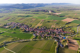 Aerial view of Niederhorbach in the state Rhineland-Palatinate, Germany